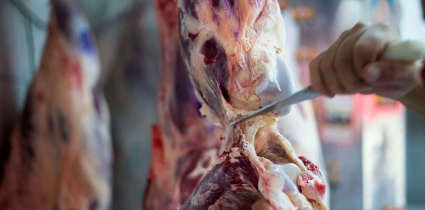 1622224738290.jpg?x= 6&y=142&width=1506&height=753&rotate=0&scaleX=1&scaleY=1&ow=1500&oh=998&&cw=1920&ch=950