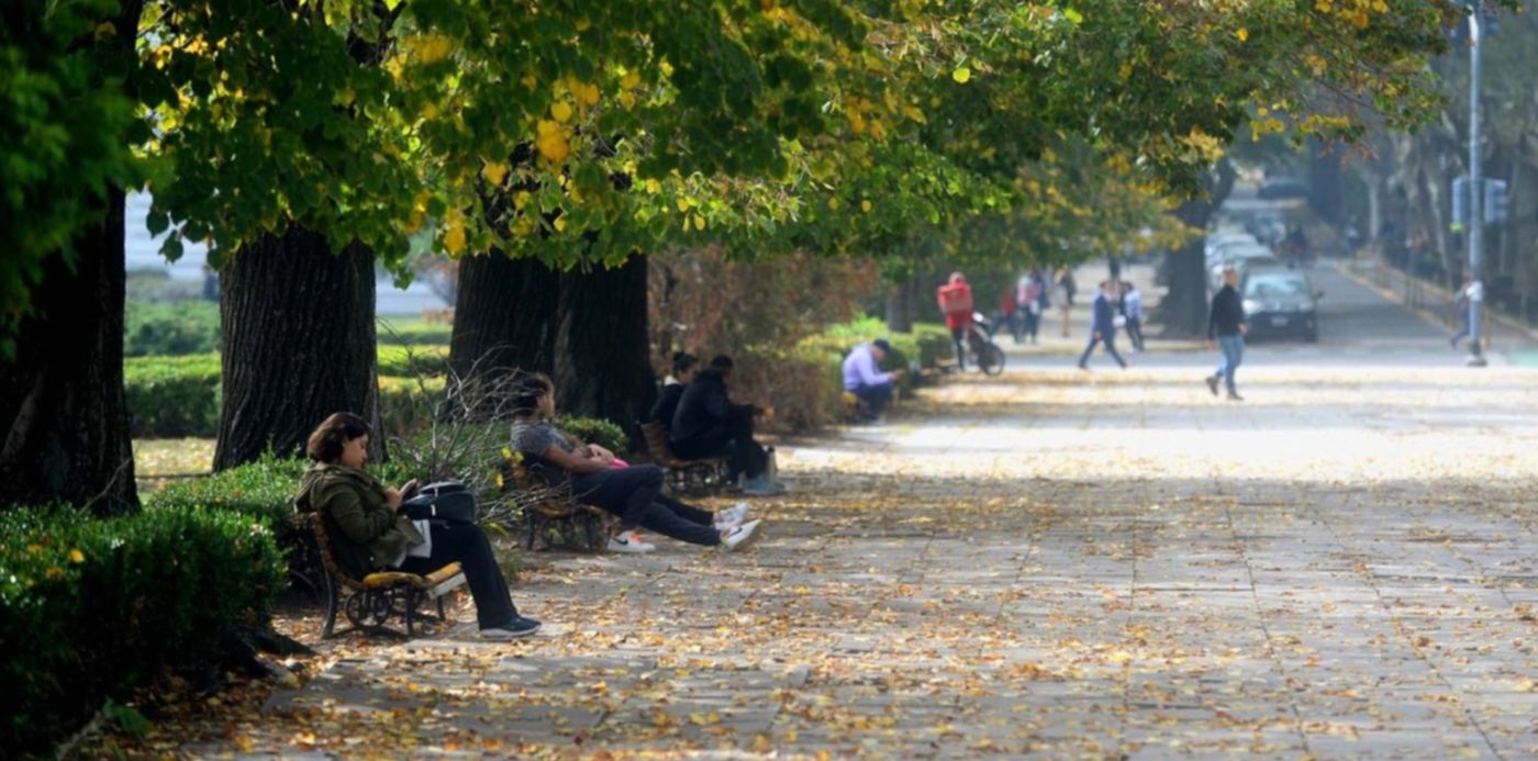 1683630451939.jpg?x=8&y=137&width=1487&height=743&rotate=0&scaleX=1&scaleY=1&ow=1500&oh=929&&cw=1920&ch=950