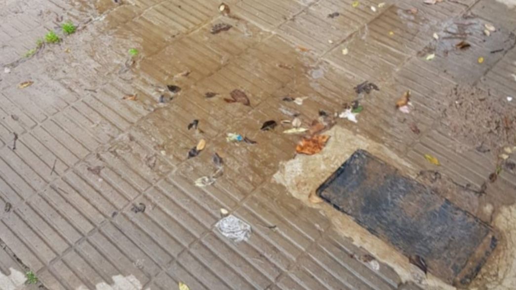 Luchó durante meses por una pérdida de ABSA, la arreglaron y ahora se volvió a romper