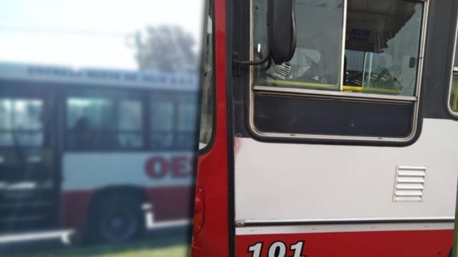 discusion, ataque y fuga: destrozaron la ventana de un micro de un fierrazo en la plata