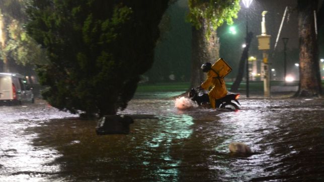 0221.com.ar | 1621615493099.jpg?x=0&y=63&width=1493&height=746&rotate=0&scaleX=1&scaleY=1&ow=1500&oh=998&&cw=1920&ch=950