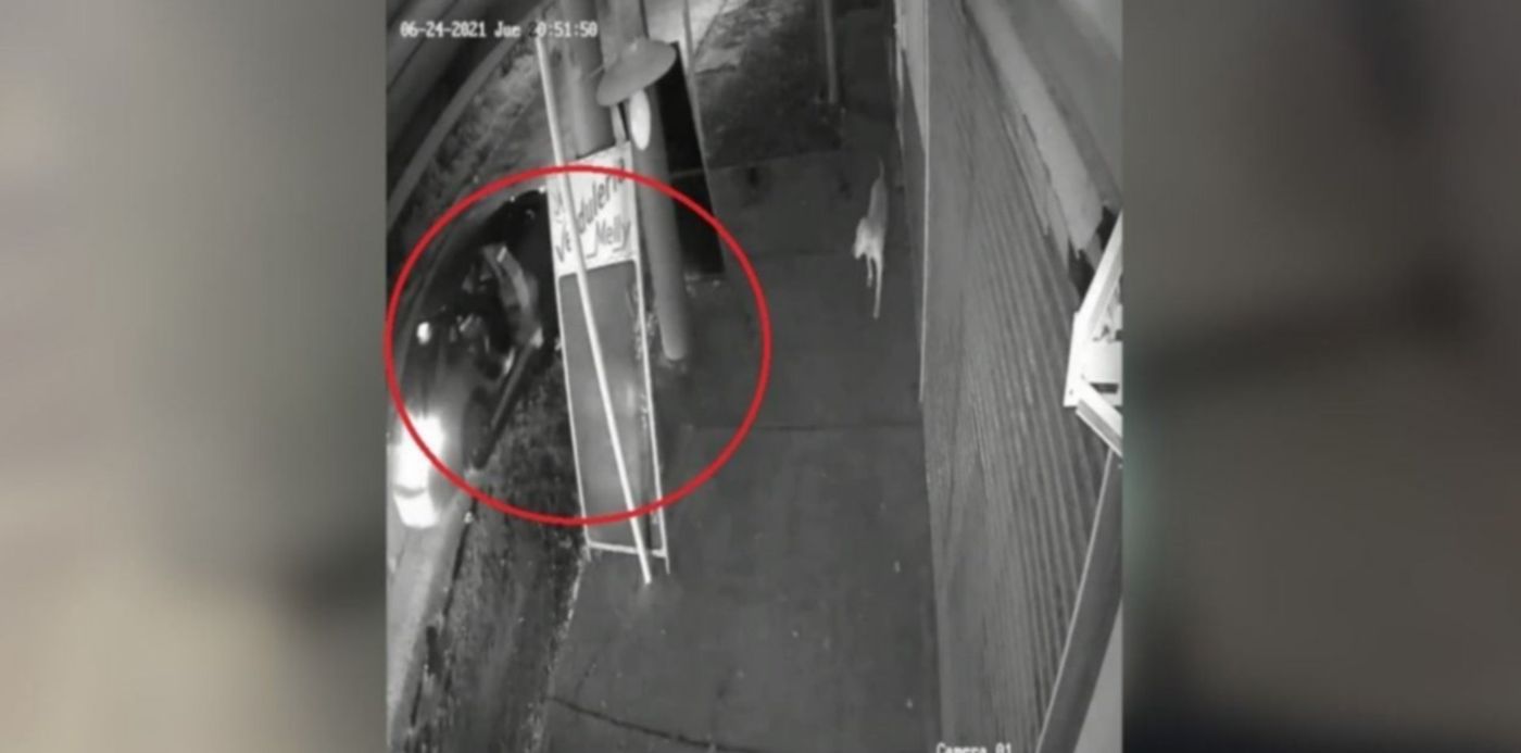 1624800620990.jpg?x=4&y=23&width=1268&height=634&rotate=0&scaleX=1&scaleY=1&ow=1280&oh=720&&cw=1920&ch=950