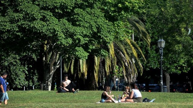 martes templado, con sol y pocas nubes, asi va a estar el clima en la plata