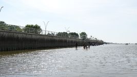 ¿que dice el estudio sobre la contaminacion que llega al rio de la plata y a las costas de berisso? ¿que dice el estudio sobre la contaminacion que llega al rio de la plata y a las costas de berisso?