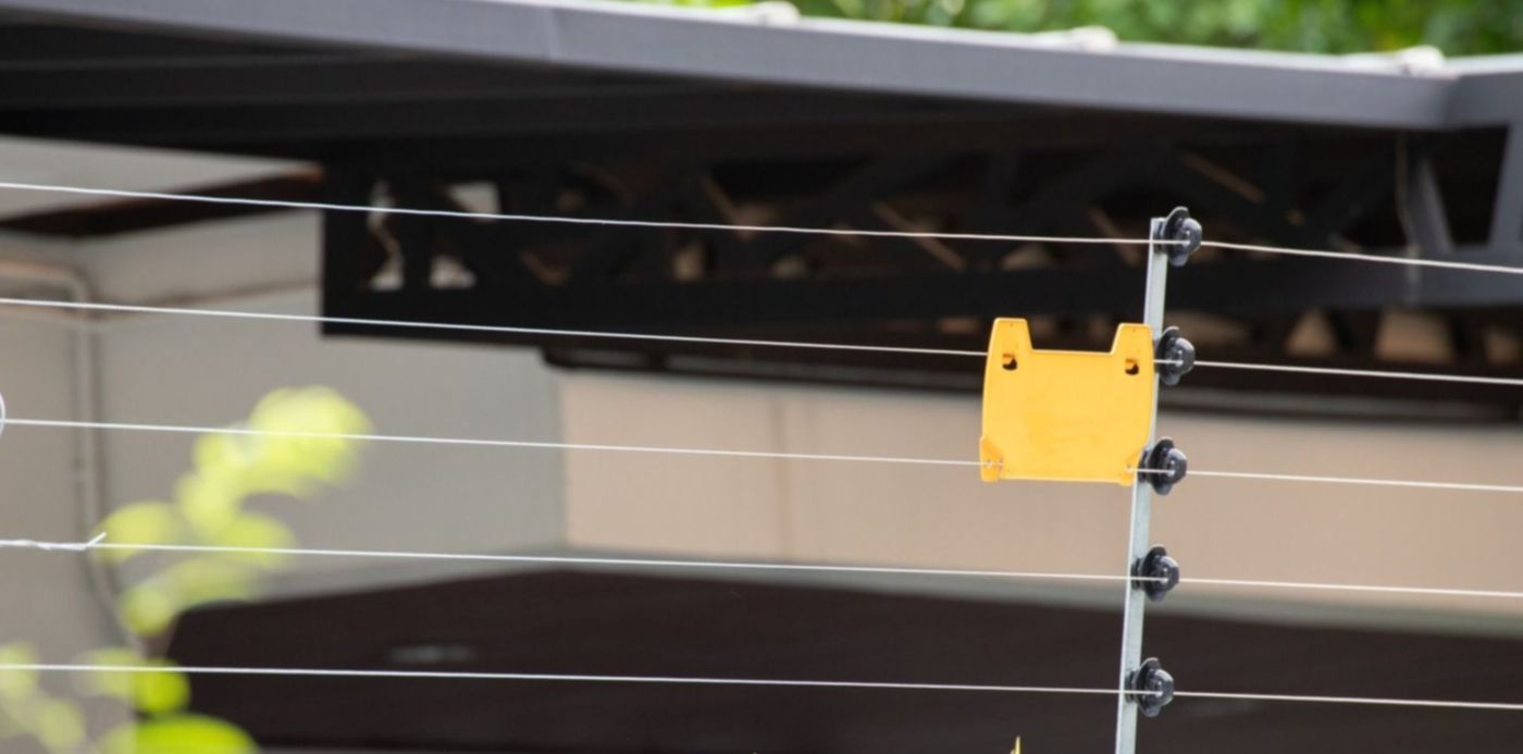 1677874728401.jpg?x=7&y=37&width=1480&height=740&rotate=0&scaleX=1&scaleY=1&ow=1500&oh=1000&&cw=1920&ch=950