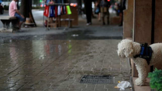 tras un jueves que arranco lluvioso, vuelve el frio y asi va a seguir el clima en la plata