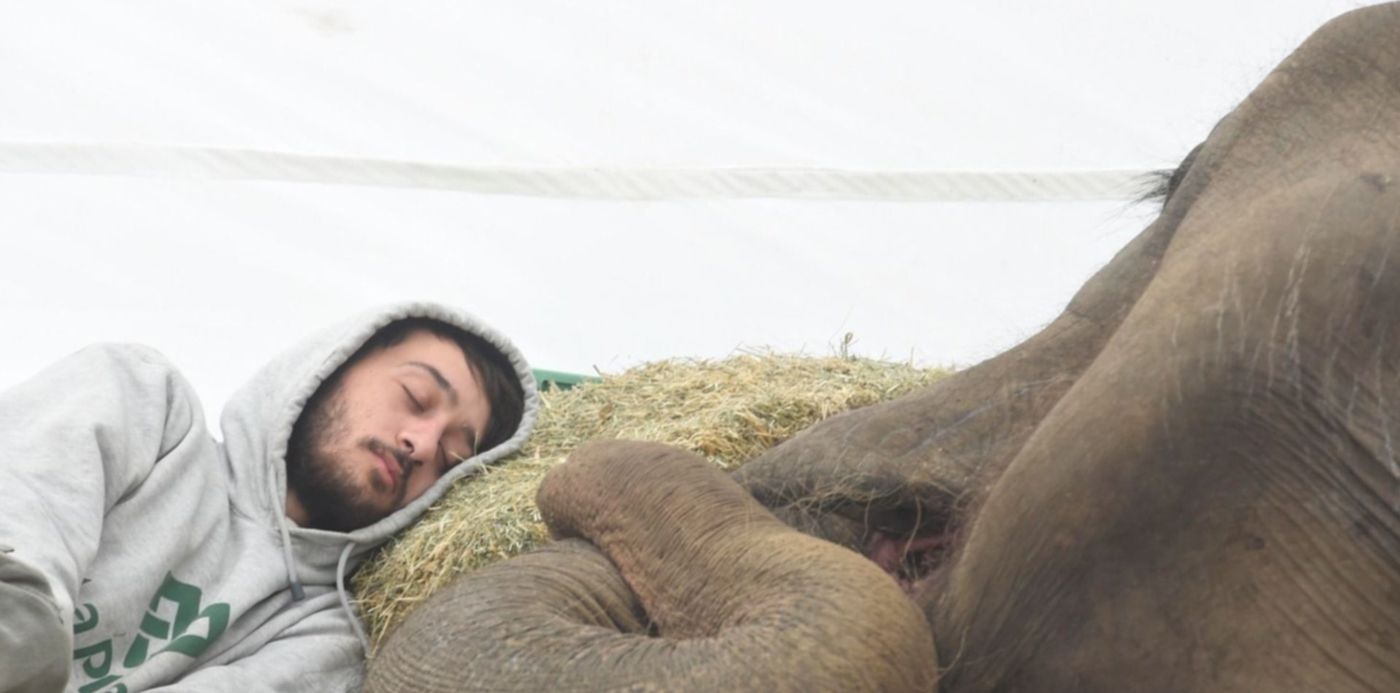 1528195854680.jpg?x=14&height=735&rotate=0&scaleY=1&ow=1500&oh=997&y=30&width=1469&scaleX=1&&cw=1920&ch=950