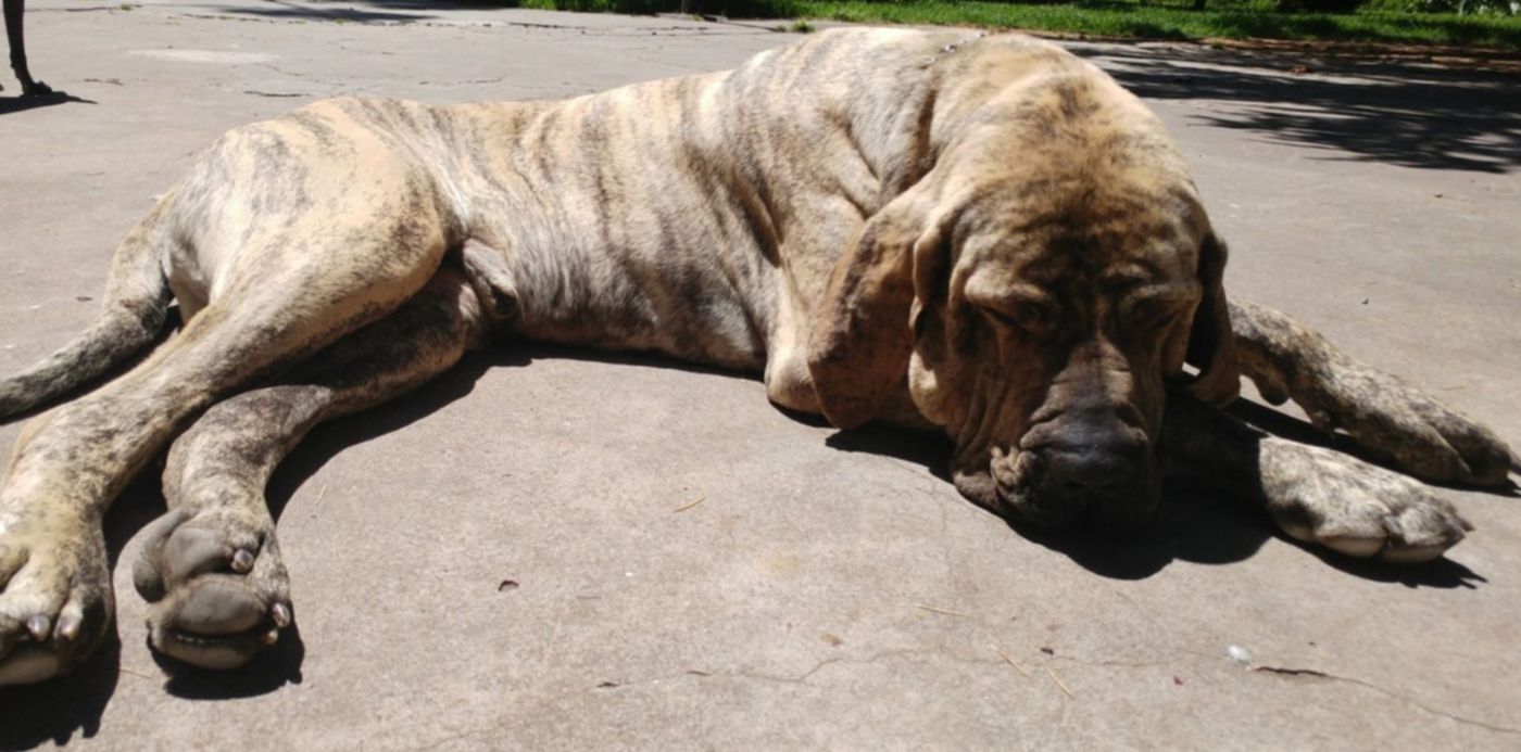 1579285743769.jpg?x=9&y=53&height=738&rotate=0&scaleX=1&oh=843&width=1475&scaleY=1&ow=1500&&cw=1920&ch=950