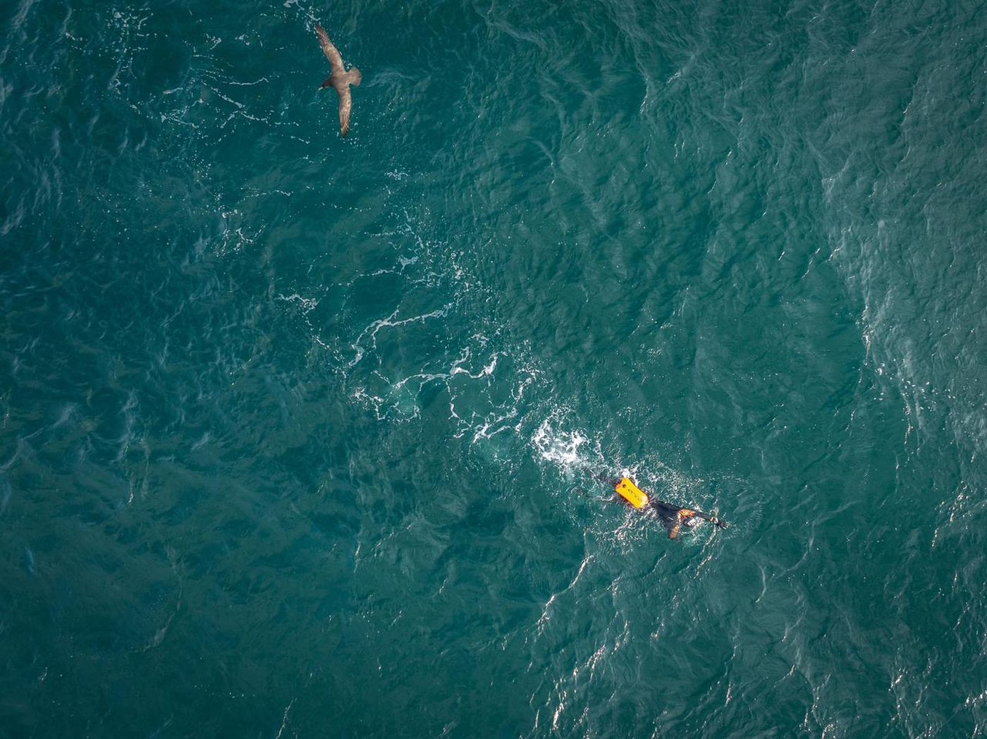 El médico de La Plata unió las Islas Malvinas.