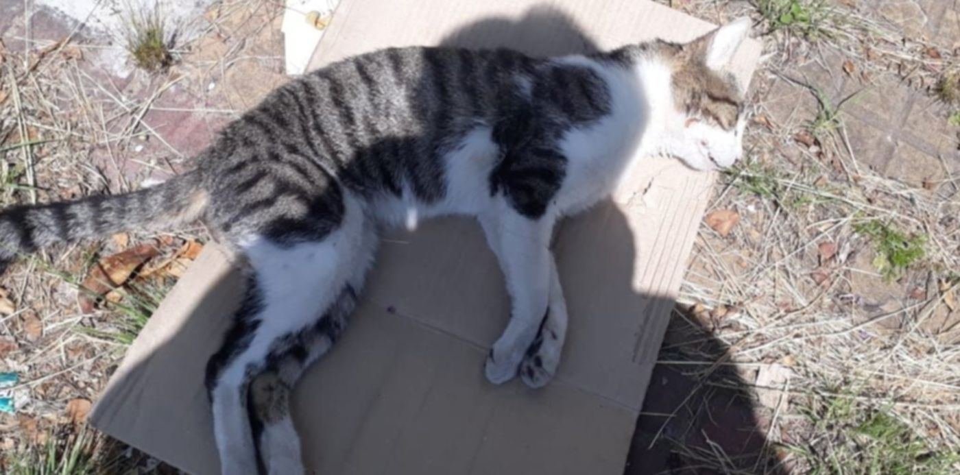 1579461731403.jpeg?x=5&height=511&rotate=0&scaleX=1&scaleY=1&ow=1032&y=196&width=1022&oh=774&&cw=1920&ch=950