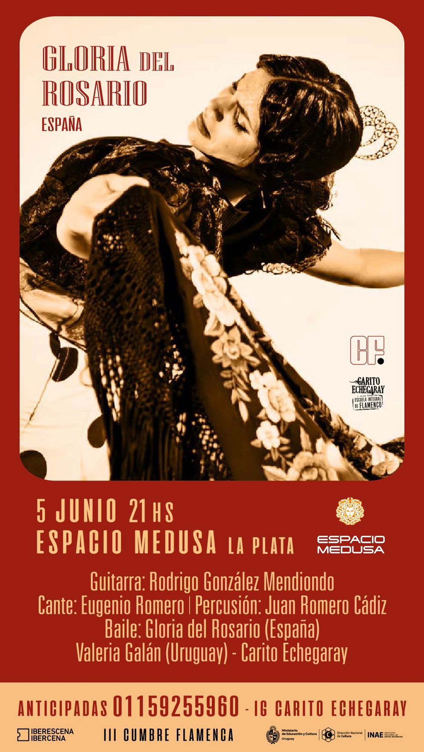 Gran espectáculo de flamenco en La Plata