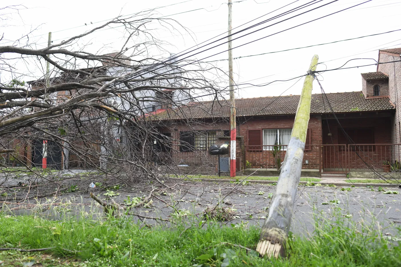 Árbol y poste caído en un barrio de La Plata donde quedó afectado el tendido eléctrico.