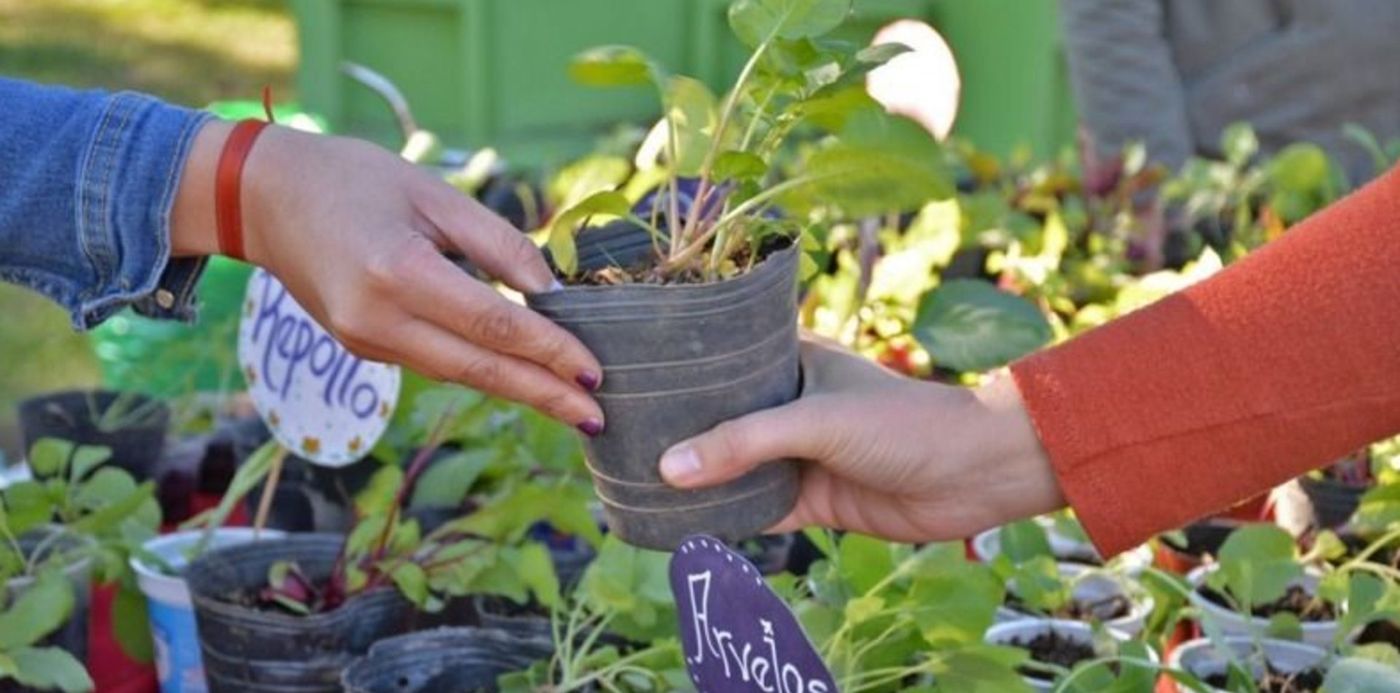 1583174295134.jpg?x=11&y=17&width=786&height=393&rotate=0&scaleX=1&scaleY=1&ow=800&oh=533&&cw=1920&ch=950