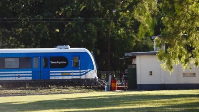video: asi vivieron los platenses la demora por los electrocutados en el tren roca