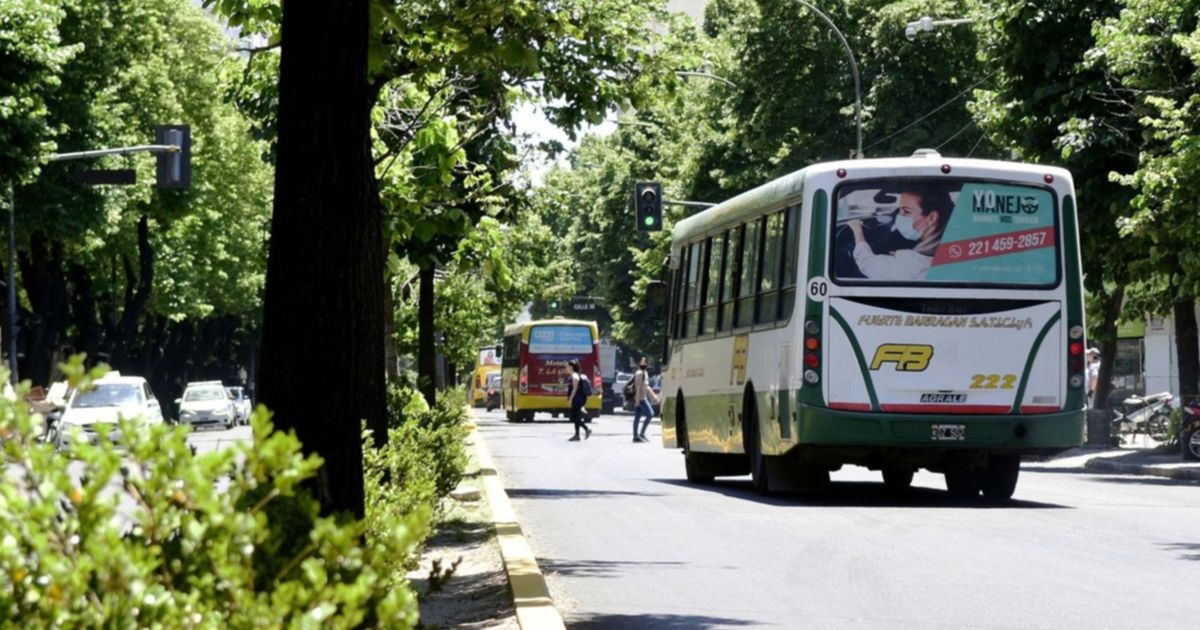 Dictaron la conciliación obligatoria y se levantó el paro de micros en ...