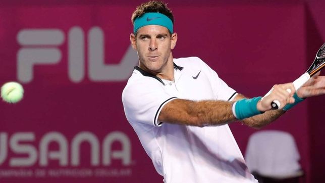 juan martin del potro gano y jugara la final del atp 250 en mexico