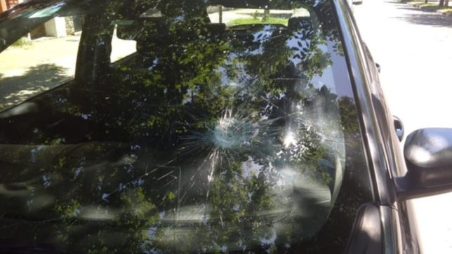 dia de furia en la plata: un joven ataco a mazazos a casi una docena de autos estacionados