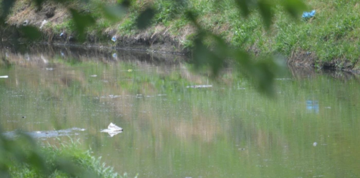 1608149006756.jpeg?x=3&y=141&width=1274&height=637&rotate=0&scaleX=1&scaleY=1&ow=1280&oh=851&&cw=1920&ch=950