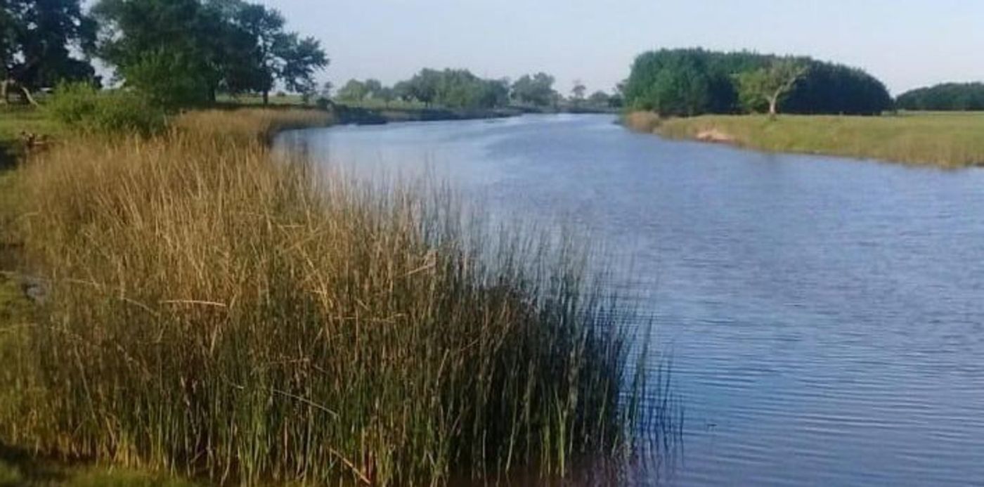 1600172615692.jpeg?x=5&y=32&width=707&height=354&rotate=0&scaleX=1&scaleY=1&ow=720&oh=477&&cw=1920&ch=950