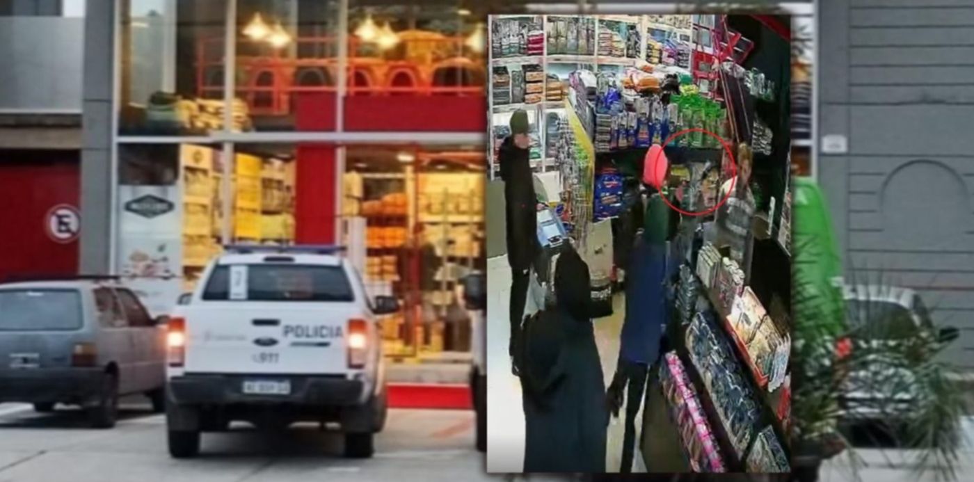 Pet shop robado en Tolosa