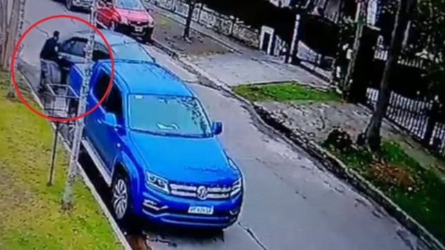 video: en apenas 30 segundos y a plena luz, un nuevo ataque de los robaruedas en la plata