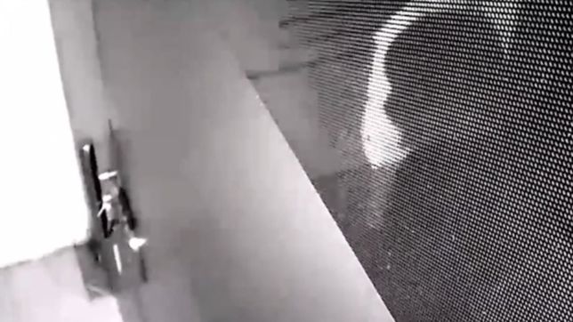 video: intentaron ingresar a robar a una agencia de viajes de la plata y quedaron filmados