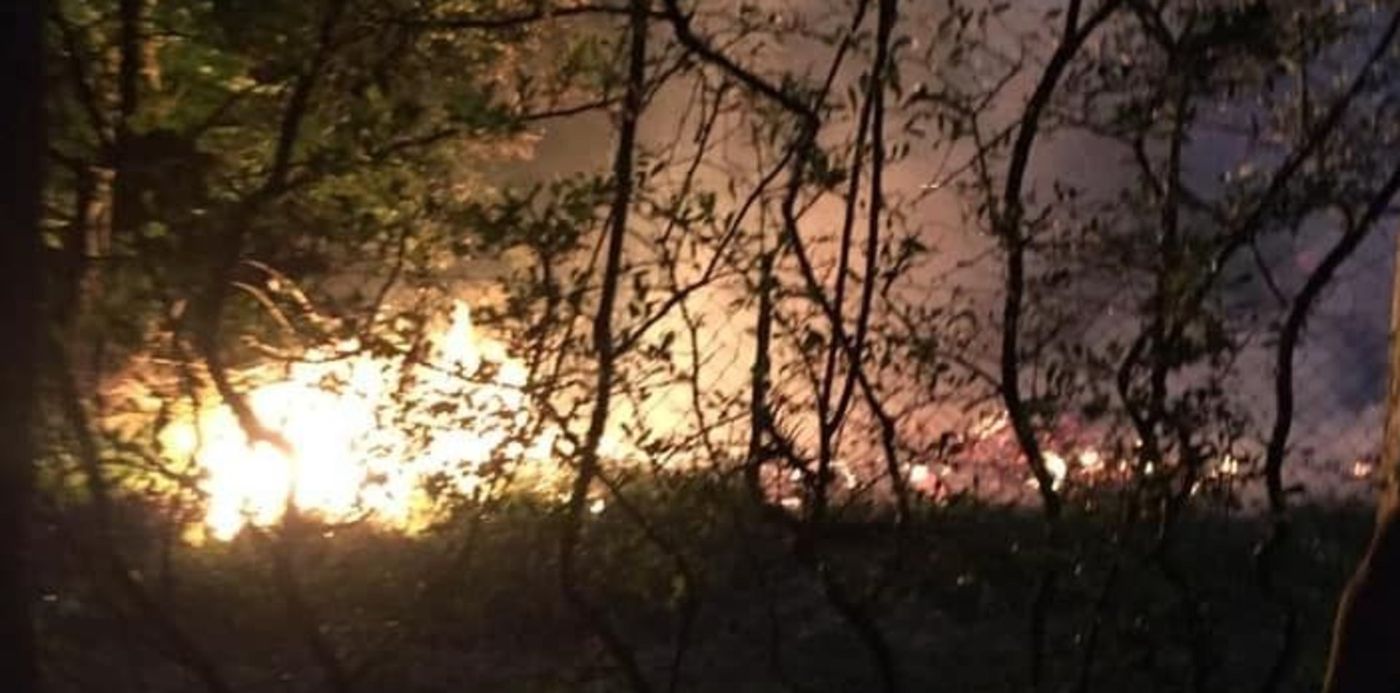 1608149813175.jpg?x=8&y=234&width=702&height=351&rotate=0&scaleX=1&scaleY=1&ow=720&oh=960&&cw=1920&ch=950