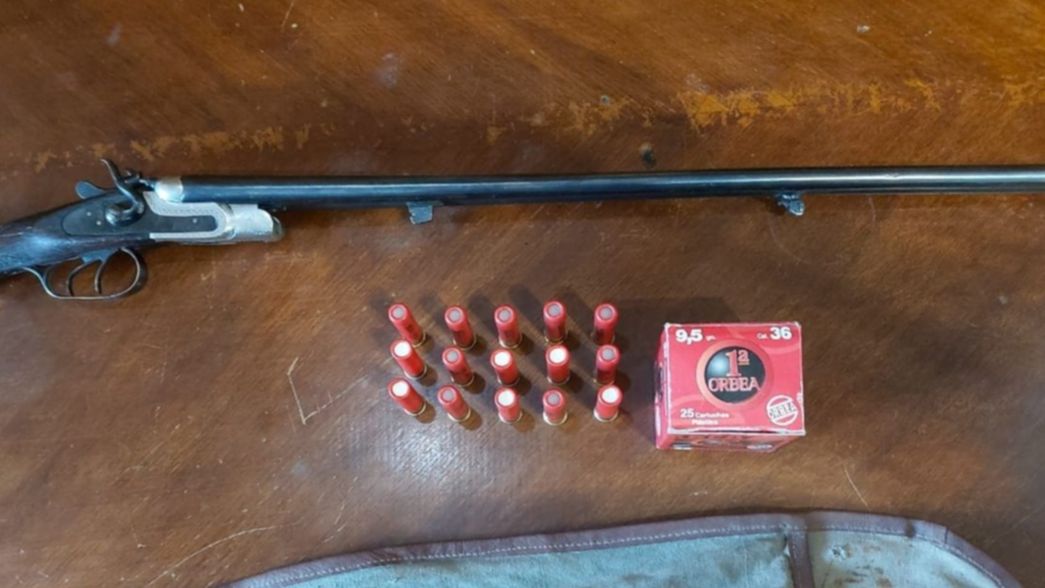 Detuvieron a un hombre que tiraba piedras y disparaba al aire para amenazar al barrio