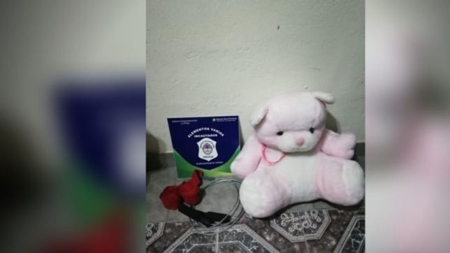 entro a robar una casa y se guardo como botin un oso de peluche: lo detuvieron