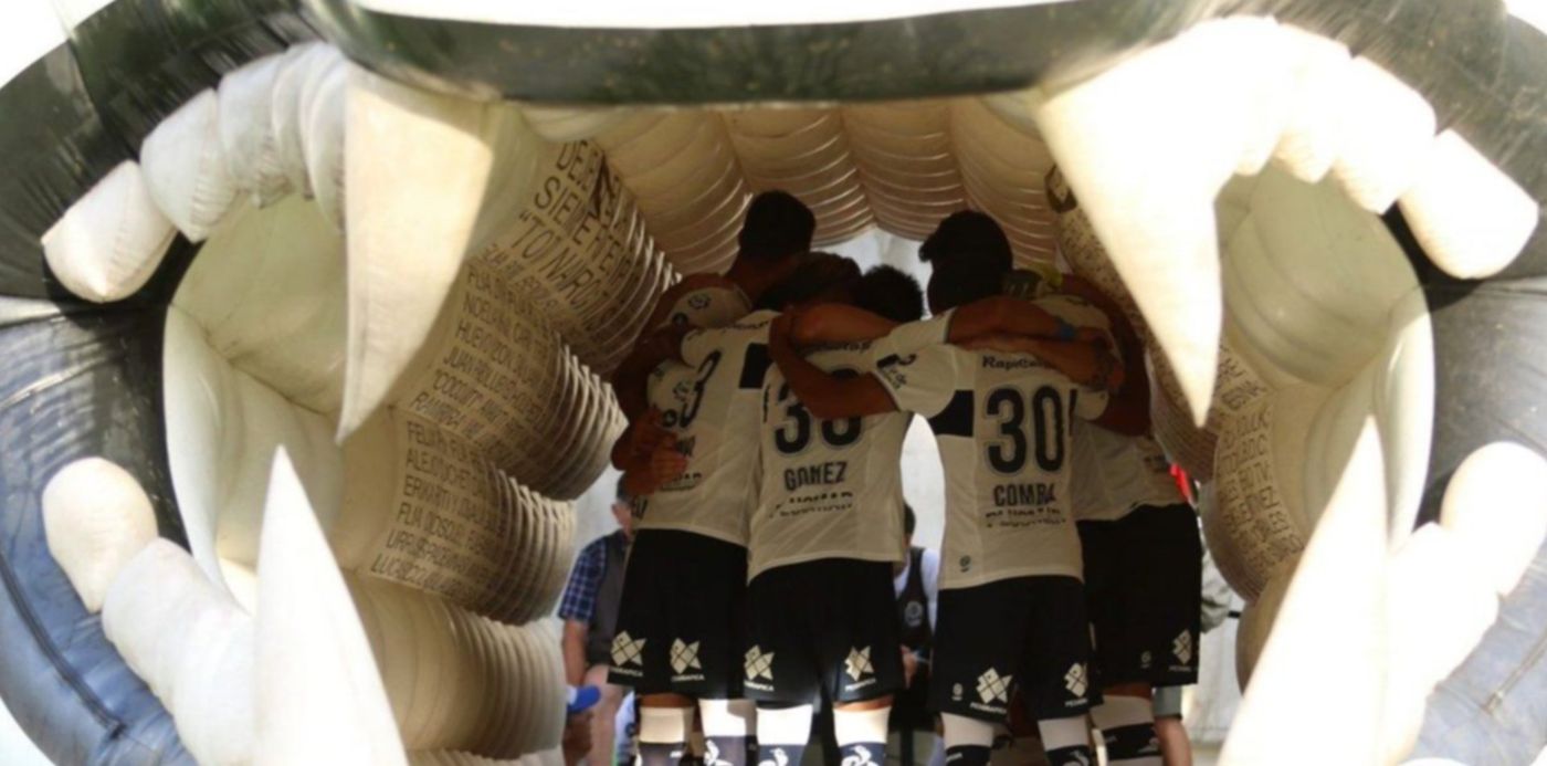 1550168189102.jpg?y=38&width=1190&height=595&scaleY=1&oh=801&x=3&rotate=0&scaleX=1&ow=1200&&cw=1920&ch=950