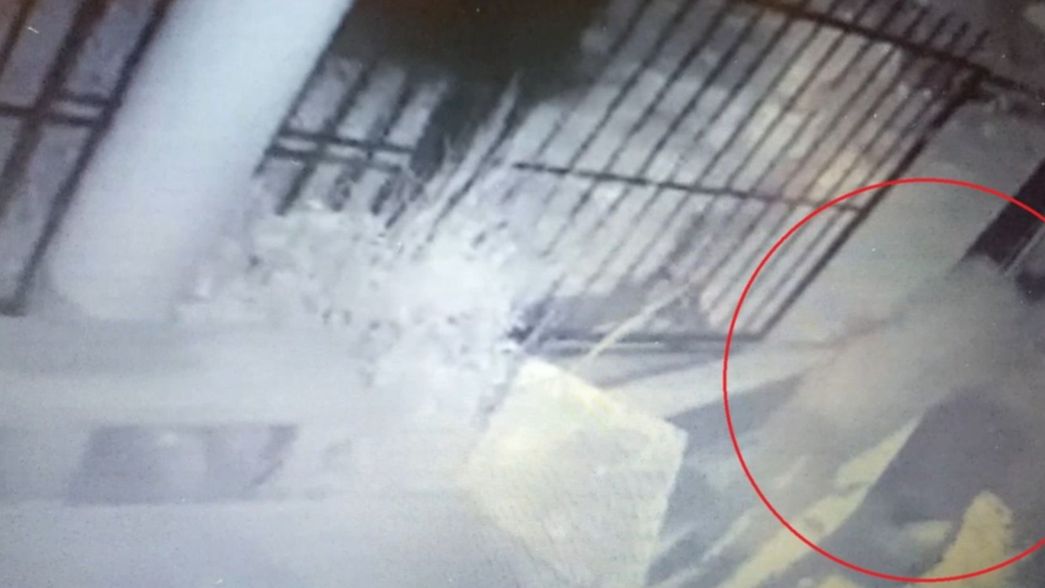 VIDEO: Entraron a una casa de City Bell y le robaron una moto que todavía estaba pagando