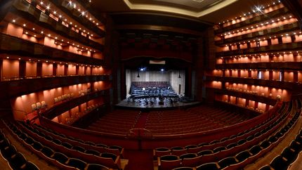 Horcas, teatro y cine gratuito en la agenda cultural para este fin de semana en La Plata