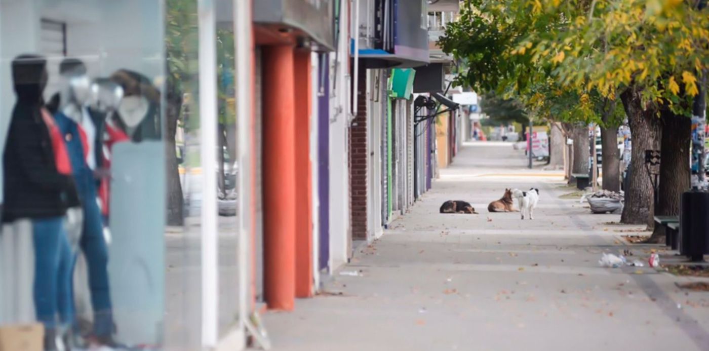 1525183574804.jpg?rotate=0&ow=1500&oh=998&x=24&width=1473&height=736&y=106&scaleX=1&scaleY=1&&cw=1920&ch=950