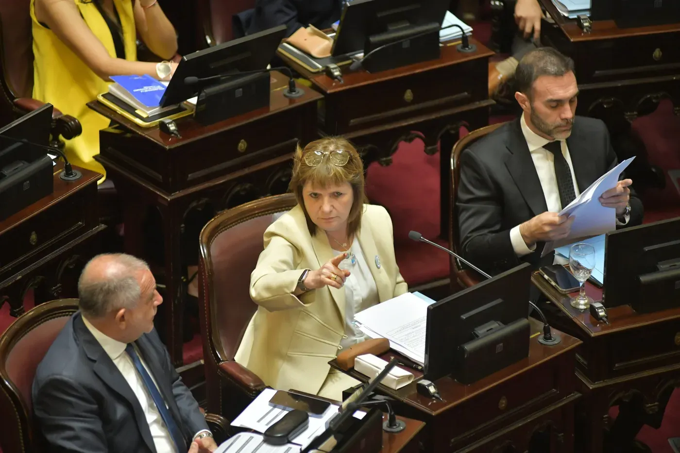 patricia-bullrich-senado