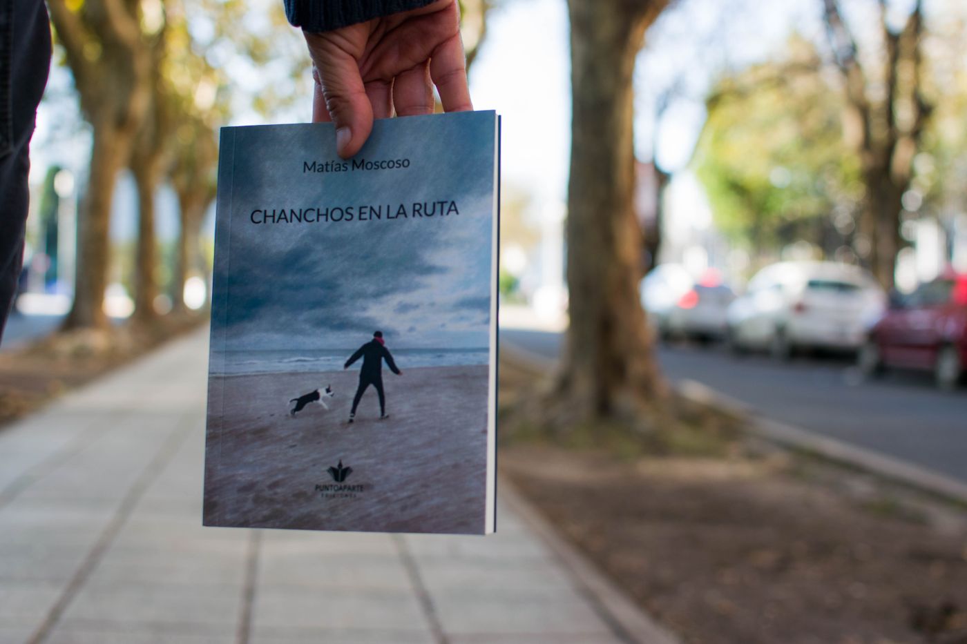 Chanchos en la ruta