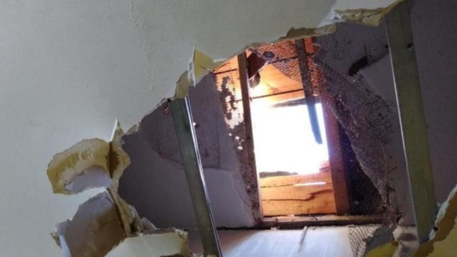 boqueteros saquearon un polirrubro de la region tras meterse por el techo