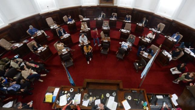 ¿quien es la dirigente que arranco la campana y suma millas para dar pelea en el fdt?