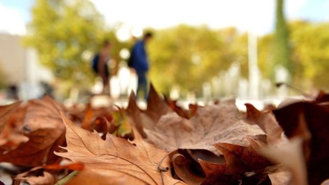 fin de semana a pleno otono en la ciudad: fresco, despejado y sin amenaza de lluvia