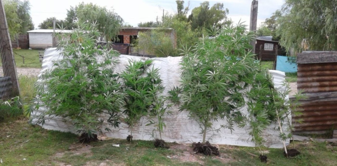 1547066041574.jpg?y=33&ow=1280&oh=768&x=5&width=1260&height=630&rotate=0&scaleX=1&scaleY=1&&cw=1920&ch=950