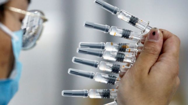 el gobierno estudiara si puede incluir las dosis de cansino en los esquema de combinacion