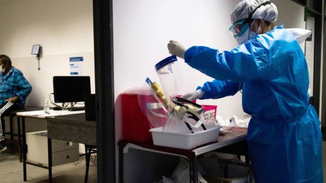 coronavirus en la plata: confirman 337 contagios y 15 muertes en las ultimas 24 horas