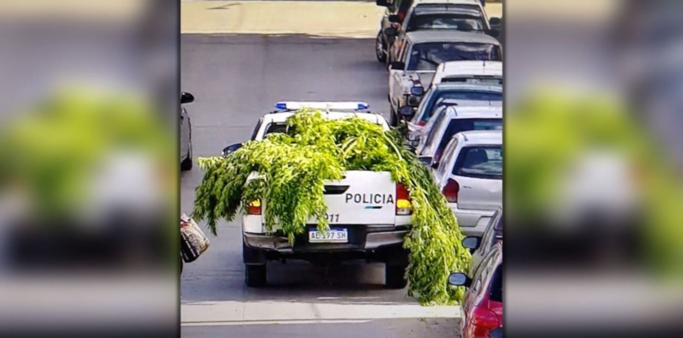 1648771259352.jpg?x=20&y=7&width=1460&height=730&rotate=0&scaleX=1&scaleY=1&ow=1500&oh=742&&cw=1920&ch=950