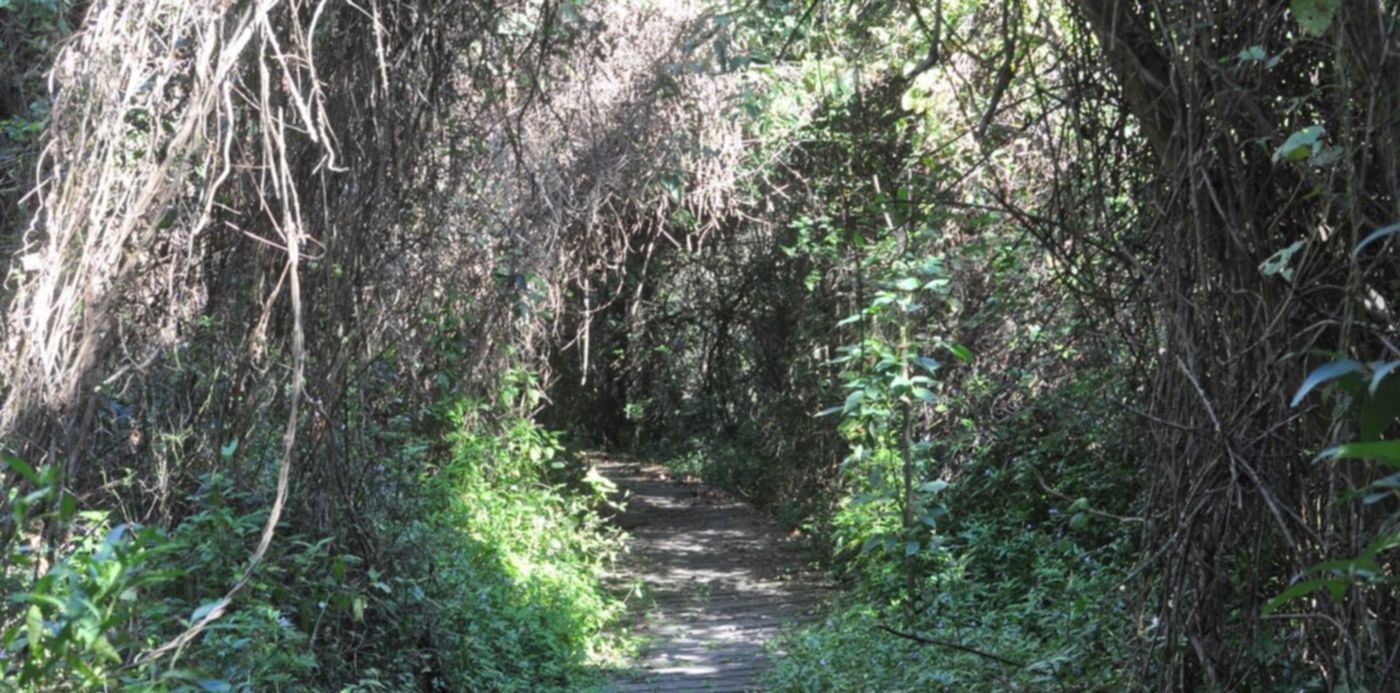 1527775576185.jpg?&cw=1920&ch=950