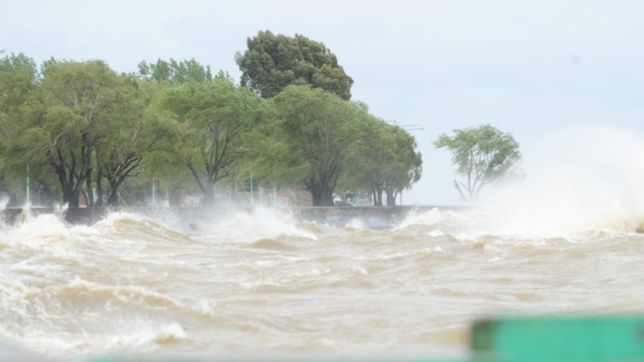 alerta por la crecida del rio de la plata: esperan que llegue a mas de 3 metros de altura