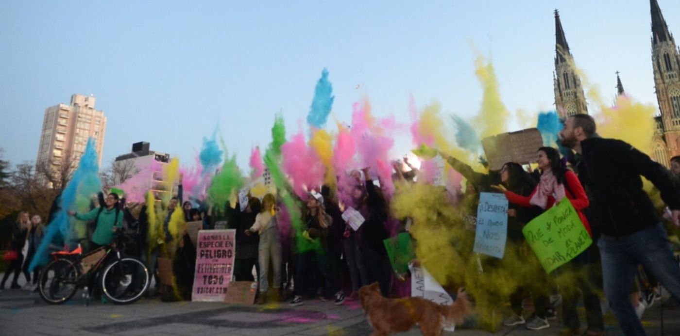 1558734305375.jpeg?x=14&height=736&scaleX=1&scaleY=1&y=260&width=1472&rotate=0&ow=1500&oh=996&&cw=1920&ch=950