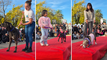 Más de 120 animales participaron del desfile de mascotas en Plaza Azcuénaga