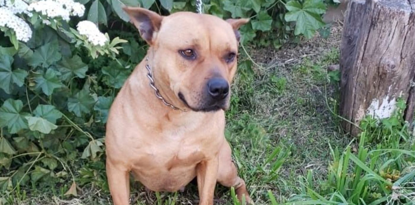 1569566451001.jpeg?width=704&height=352&scaleX=1&scaleY=1&ow=720&oh=1280&x=8&rotate=0&y=287&&cw=1920&ch=950