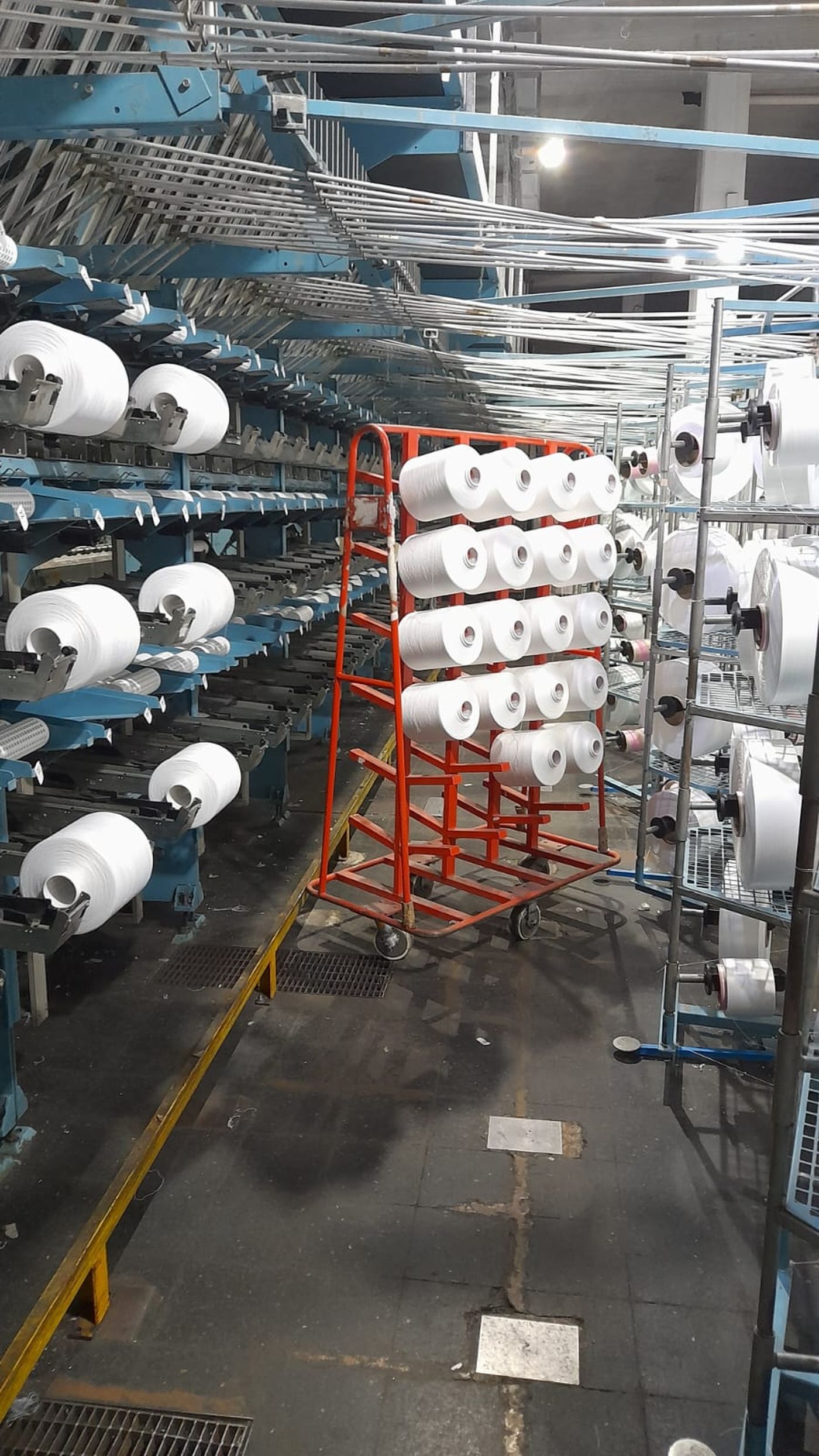 Fisipa produce materia prima para ropa