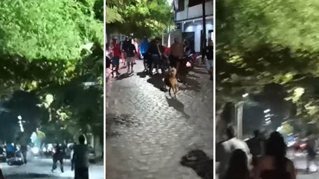 asi fue el violento ataque de los integrantes de la uocra a los vecinos de calle nueva york de berisso