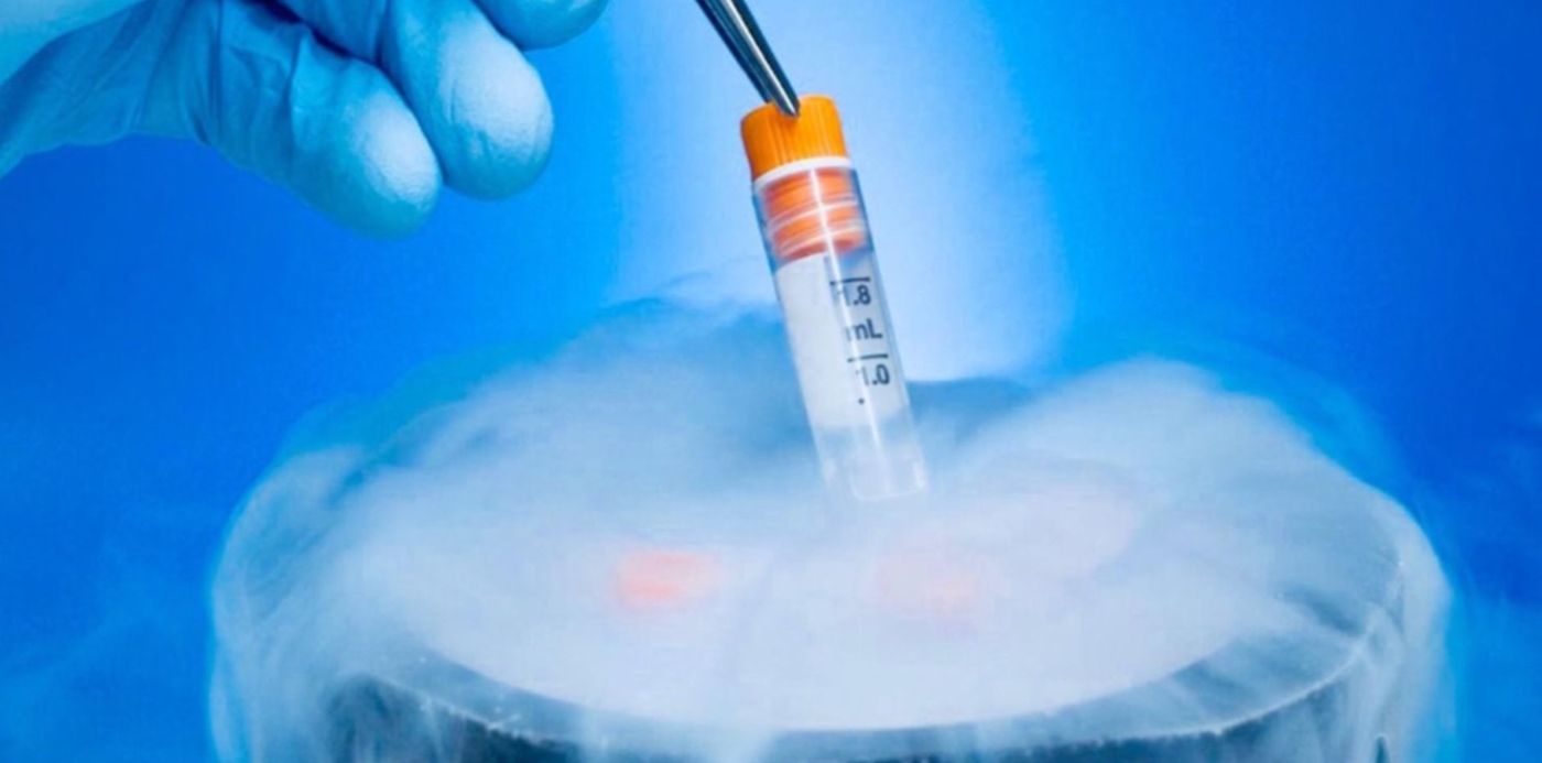 1657383172806.jpg?x=27&y=32&width=1462&height=731&rotate=0&scaleX=1&scaleY=1&ow=1500&oh=843&&cw=1920&ch=950